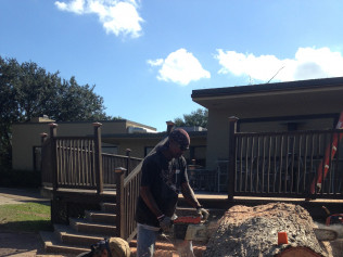 Tree Stump Removal Services in Victoria, TX